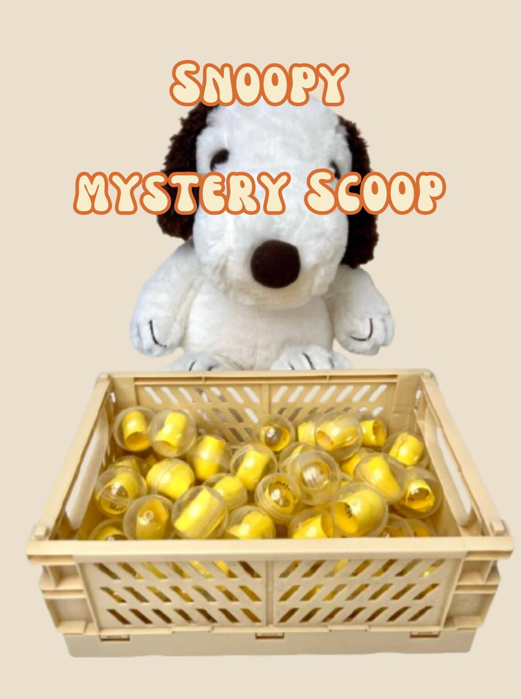 Snoopy Mystery Scoop